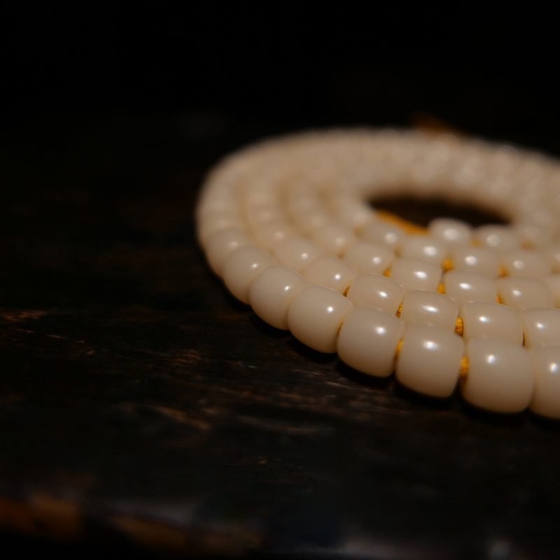 Courageous Spirit Camel Bone Bracelet - Image 5