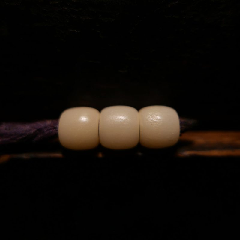 Courageous Spirit Camel Bone Bracelet - Image 6