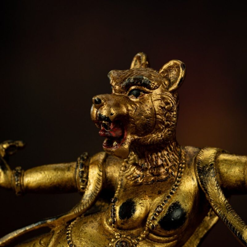 Qing Dynasty Tibetan Antique Statue Simhamukha Dakini Gilded Tibet - Image 8