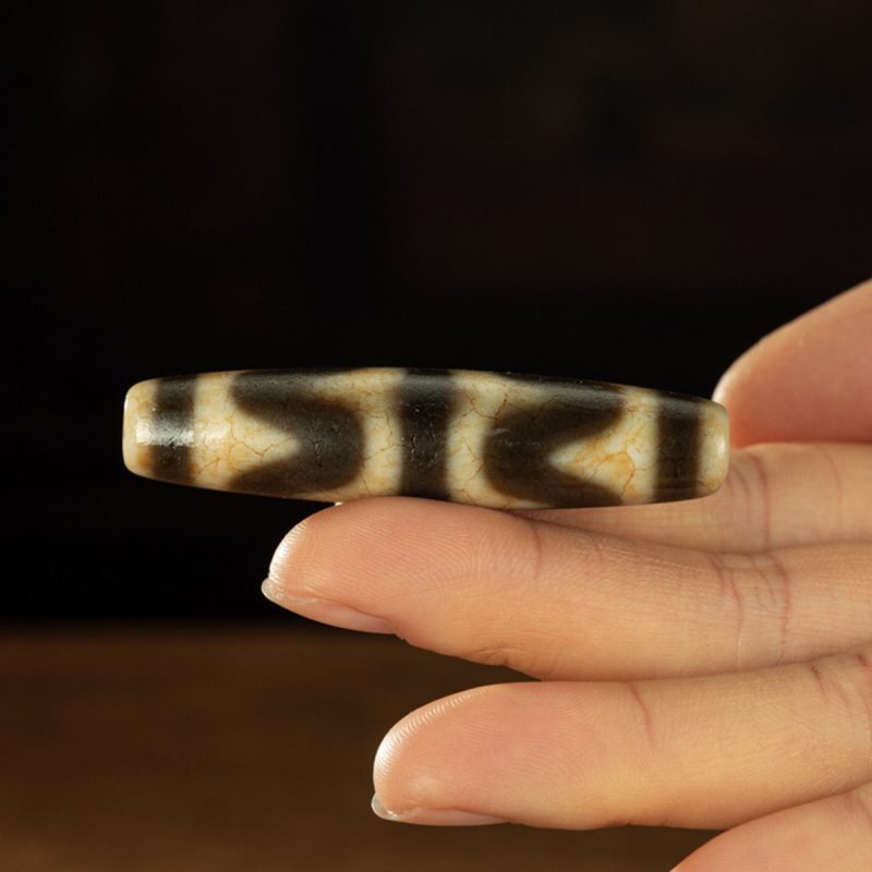 Yellow Tooth Double Tiger Teeth Old Dzi Beads Tibetan Millennium Dzi Beads Calcification - Image 9