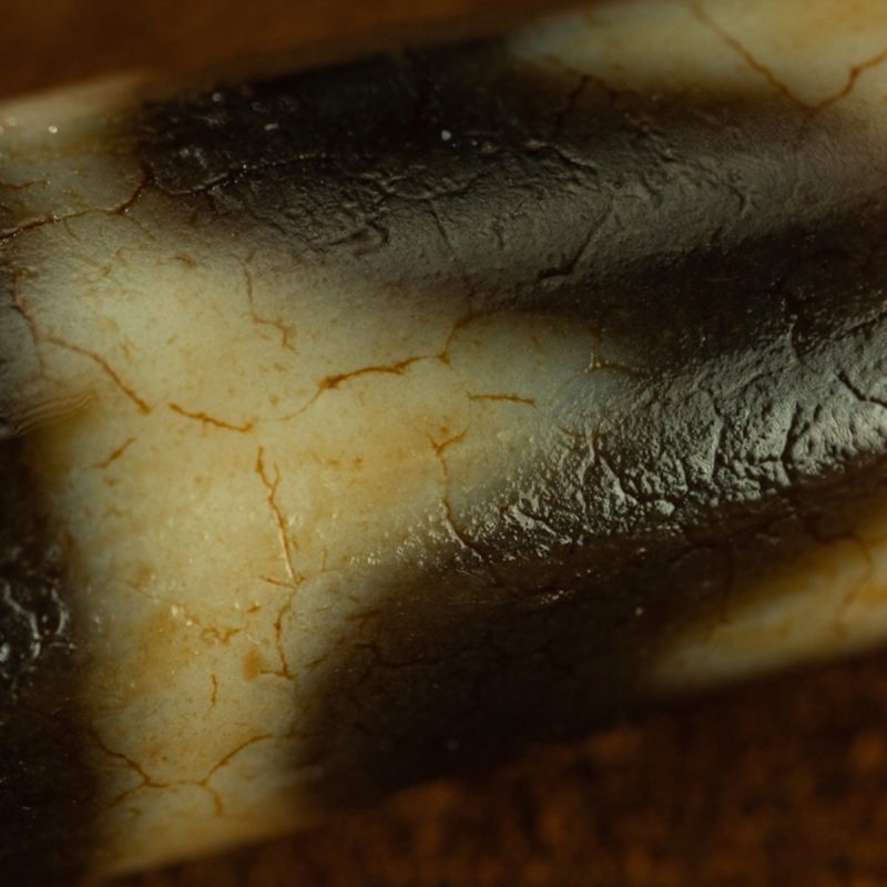 Yellow Tooth Double Tiger Teeth Old Dzi Beads Tibetan Millennium Dzi Beads Calcification - Image 7