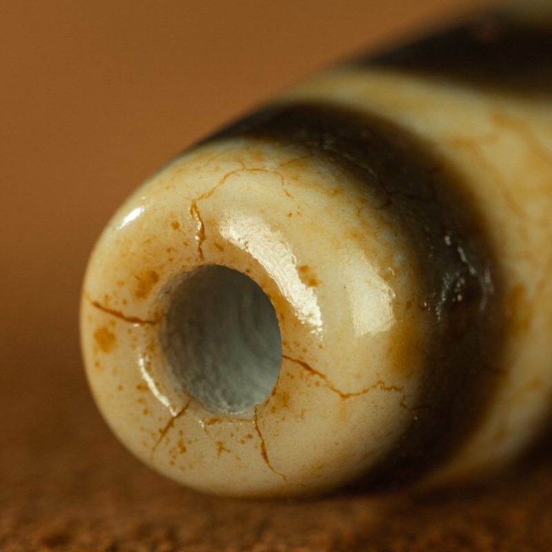 Yellow Tooth Double Tiger Teeth Old Dzi Beads Tibetan Millennium Dzi Beads Calcification - Image 8