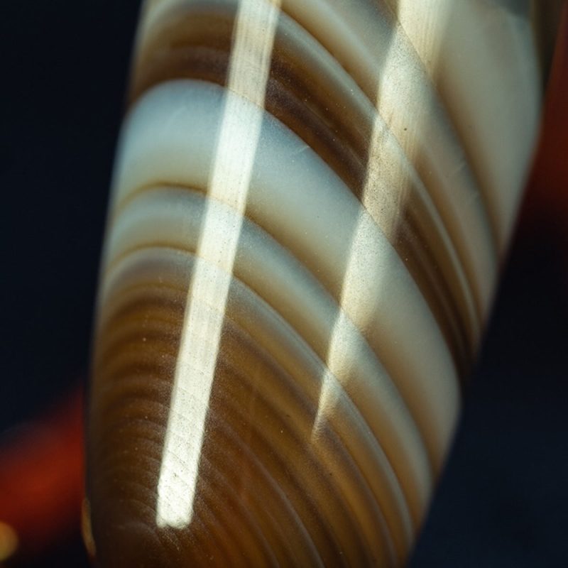 Buddha's Eye Pearl Tibetan Millennium Dzi Bead Sardonyx Natural Manifestation - Image 8