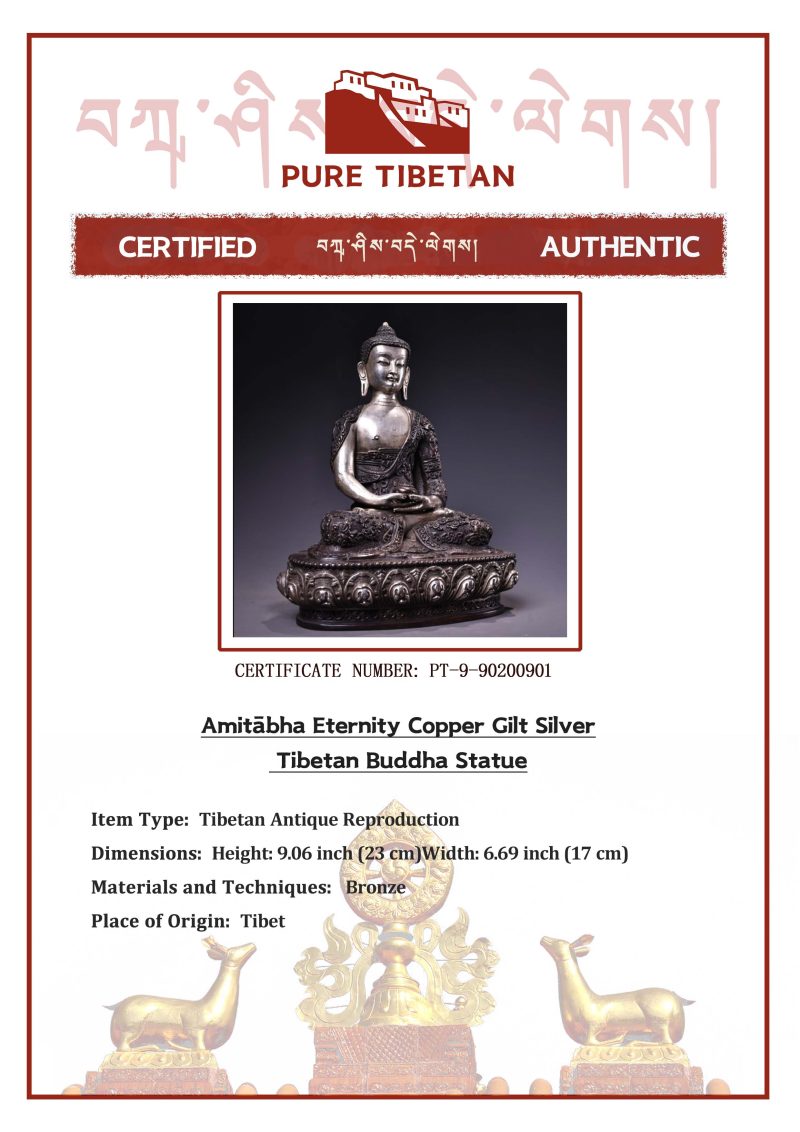 Amitābha Eternity Bronze Gilt Silver Tibetan Buddha Statue - Image 2