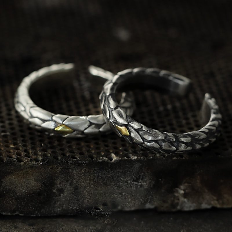 Guardian Scales Silver Ring - Image 4