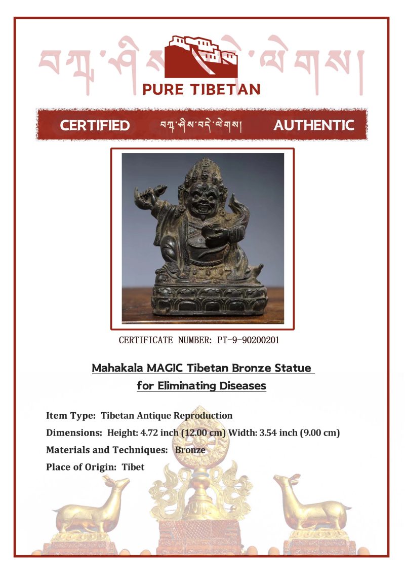 Mahakala MAGIC Tibetan Bronze Statue for Eliminating Diseases - Image 2