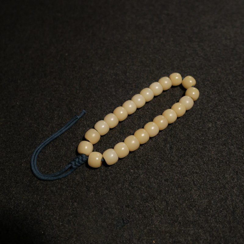 Courageous Spirit Camel Bone Bracelet - Image 2
