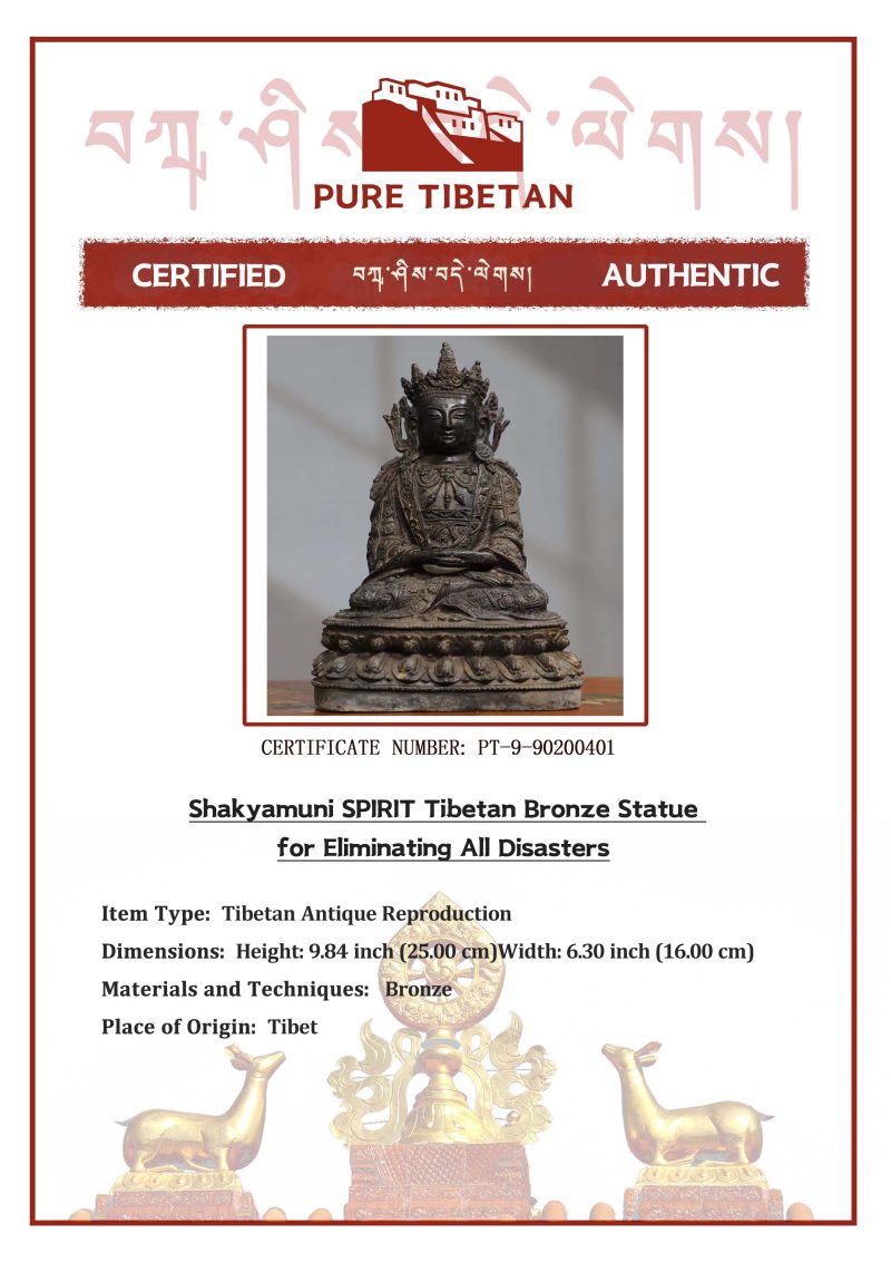 Shakyamuni SPIRIT Tibetan Bronze Statue for Eliminating All Disasters - Image 2