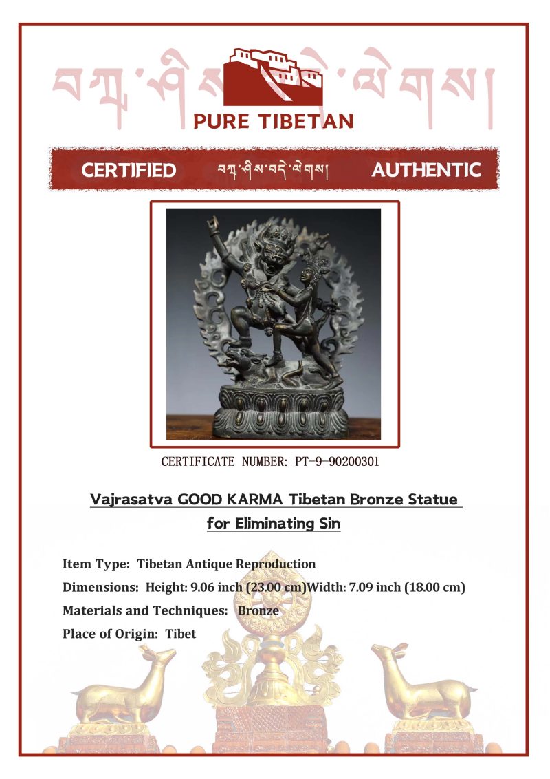 Vajrasatva GOOD KARMA Tibetan Bronze Statue for Eliminating Sin - Image 3