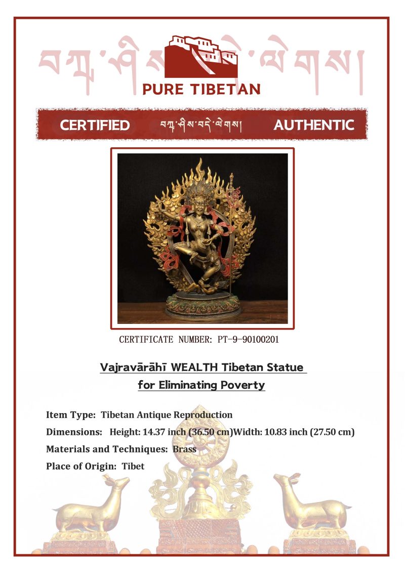 Vajravārāhī WEALTH Tibetan Statue for Eliminating Poverty - Image 2