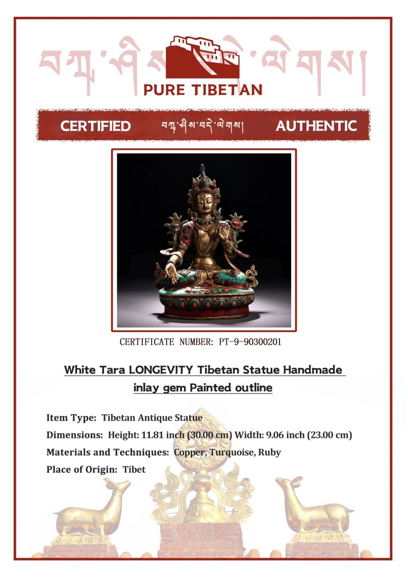 White Tara LONGEVITY Tibetan Statue Handmade inlay gem Painted outline - Image 2