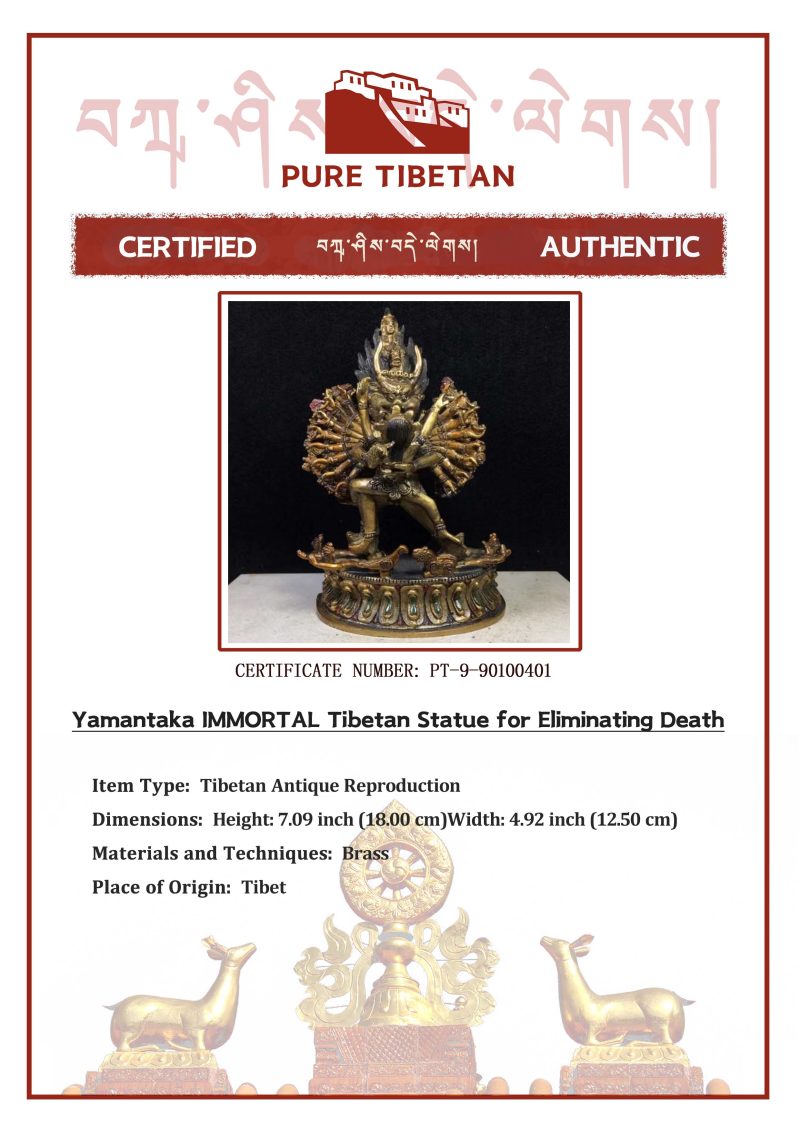 Yamantaka IMMORTAL Tibetan Statue for Eliminating Senescence - Image 2